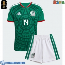 Fotballdrakt Barn Mexico Erick Sanchez #14 Hjemmedraktsett VM 2026 Kortermet (+ Korte bukser)